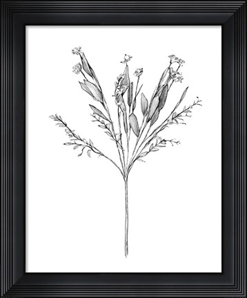 Framed Field Flower I Print