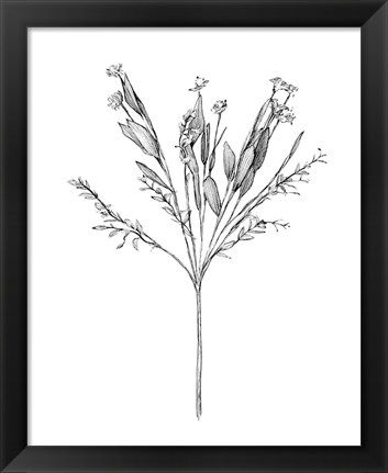 Framed Field Flower I Print