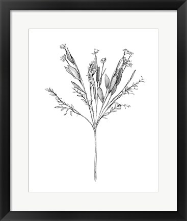 Framed Field Flower I Print