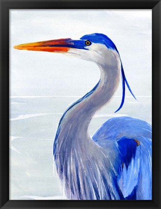 Framed Great Blue I Print