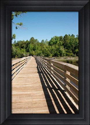 Framed Alabama, Theodore Bayou Boardwalk of the Bellingrath gardens Print