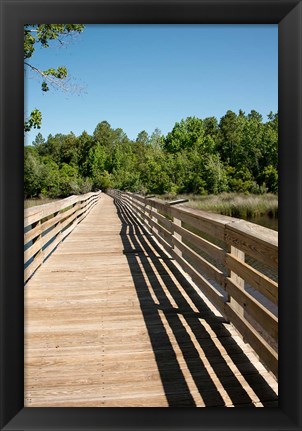 Framed Alabama, Theodore Bayou Boardwalk of the Bellingrath gardens Print