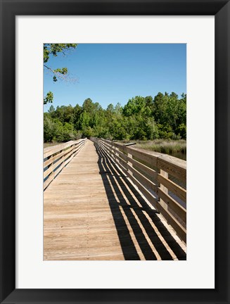 Framed Alabama, Theodore Bayou Boardwalk of the Bellingrath gardens Print