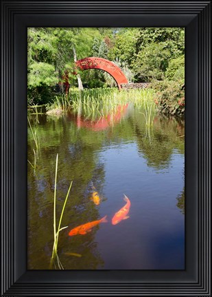 Framed Alabama, Theodore Bridge and Koi Pond at Bellingrath Gardens Print