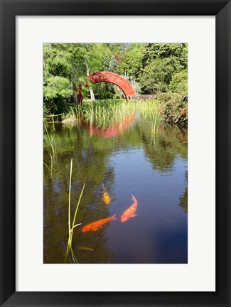 Framed Alabama, Theodore Bridge and Koi Pond at Bellingrath Gardens Print