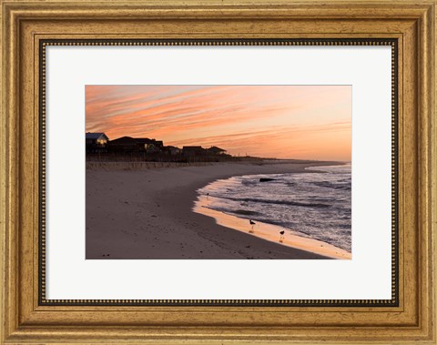 Framed Alabama, Gulf Shores, Beach, shore birds Print