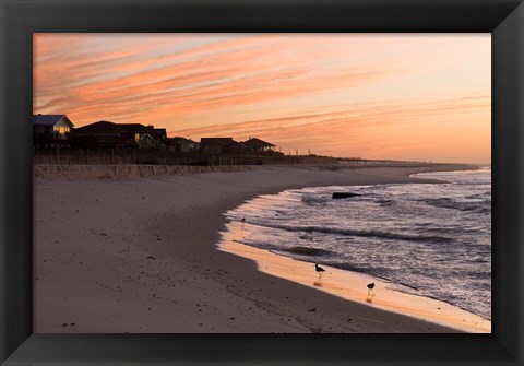 Framed Alabama, Gulf Shores, Beach, shore birds Print