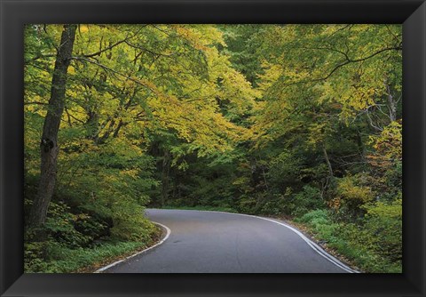 Framed Smugglers Notch Road Print