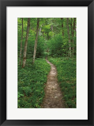 Framed North Country Trail Print