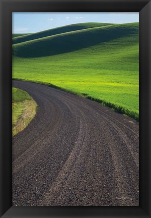 Framed Going Through Palouse Wheat Fields Print