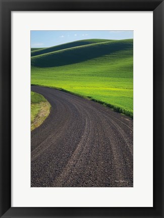 Framed Going Through Palouse Wheat Fields Print