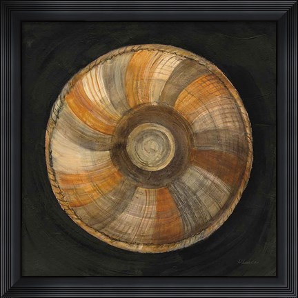 Framed Woven Beauty II on Black Print