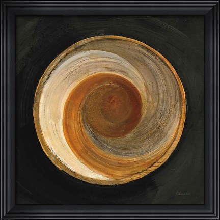 Framed Woven Beauty I on Black Print