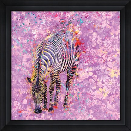 Framed Crazy Zebra II Print
