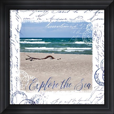 Framed Collage II Print