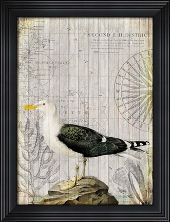 Framed Vintage Sea Bird Print