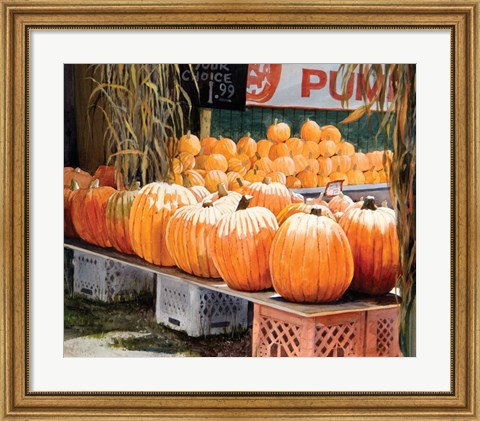 Framed Pumpkins for Sale Print