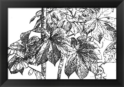 Framed Botanical BW IV Print