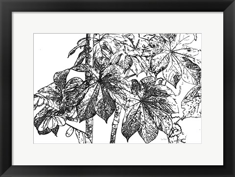 Framed Botanical BW IV Print