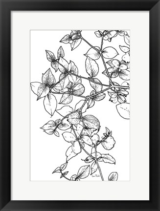 Framed Leafy BW Print