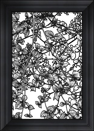 Framed Leafy BW III Print