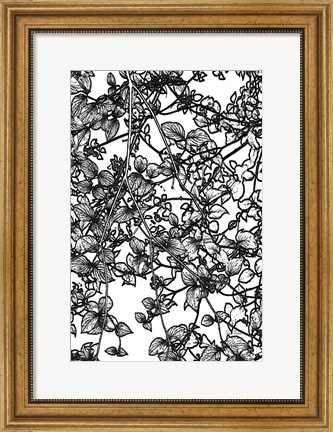 Framed Leafy BW III Print