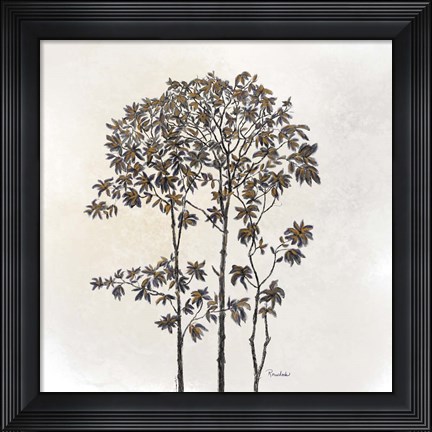 Framed Leafy Treetop Print