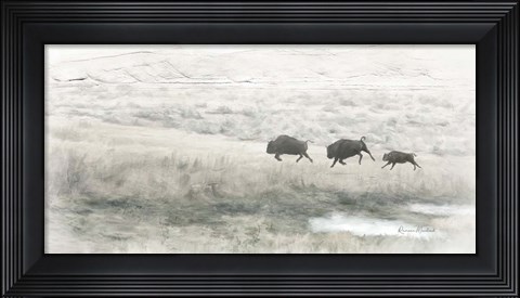 Framed Buffalo Stampede Print