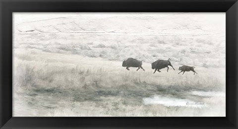 Framed Buffalo Stampede Print