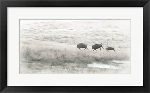 Framed Buffalo Stampede Print