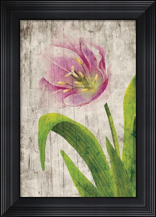 Framed Tulips I Print