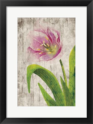 Framed Tulips I Print