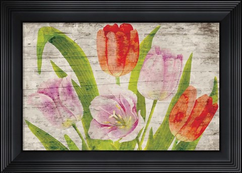 Framed Tulips II Print