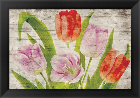 Framed Tulips II Print