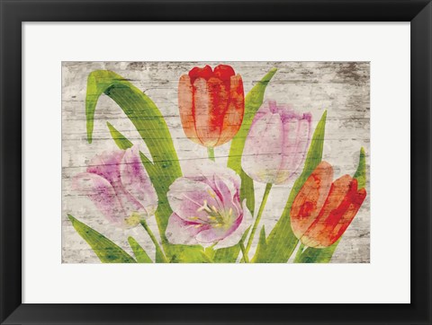 Framed Tulips II Print