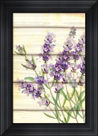 Framed Floral Lavender I Print