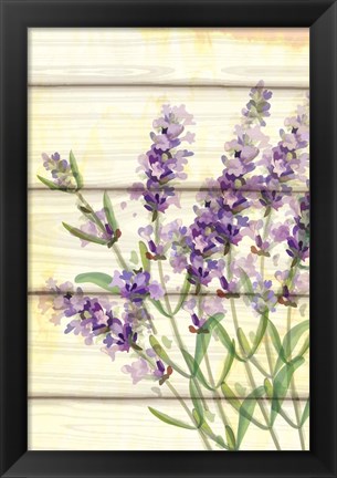 Framed Floral Lavender I Print