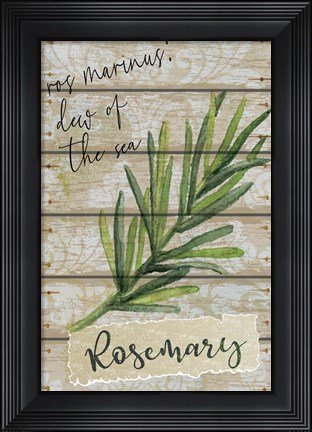 Framed Rosemary Print