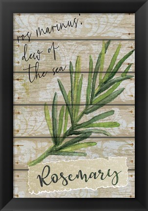 Framed Rosemary Print