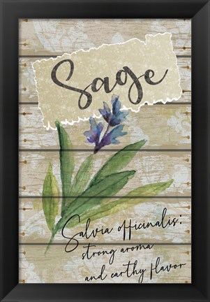 Framed Sage Print