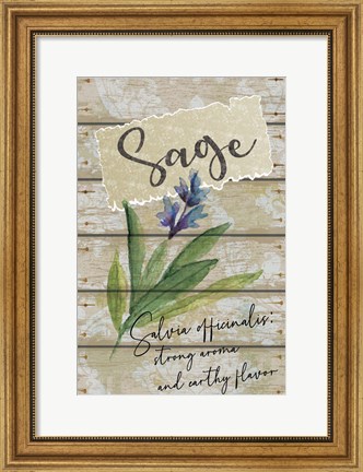 Framed Sage Print