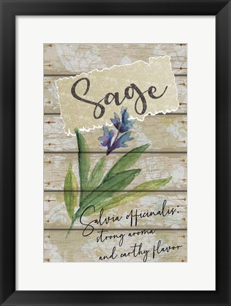 Framed Sage Print