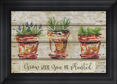 Framed Grow Where Print