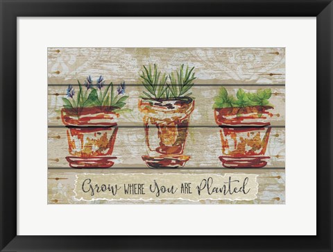 Framed Grow Where Print