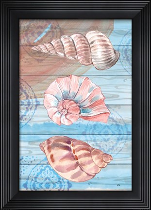Framed Coastal IX Print