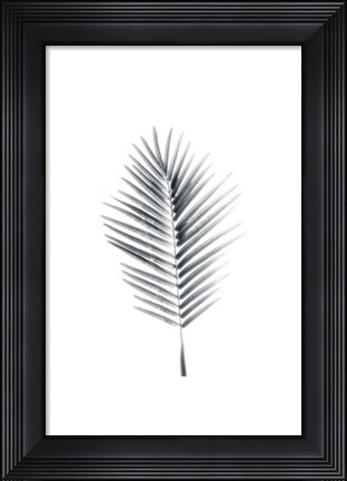Framed Palm II Print