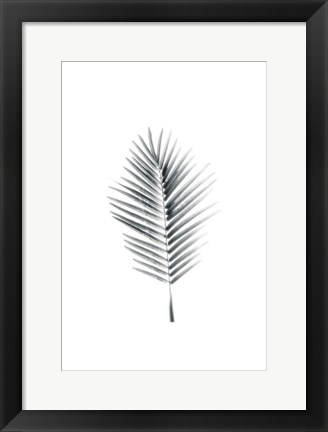 Framed Palm II Print