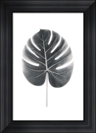 Framed Palm III Print
