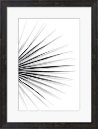 Framed Palm IV Print