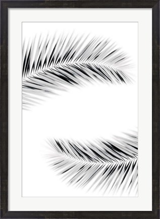 Framed Palm V Print